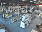 玉米种子装箱包装线